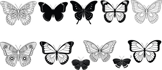 Butterfly silhouette and pattern collection, decorative insect vector set, black and white clipart, nature design element, spring, garden, wildlife art © Miss