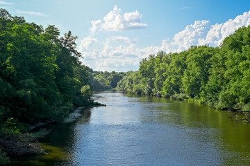 Fototapeta premium Dense forest on the banks of the Desna River in Bryansk's central park, Bryansk region of Russia
