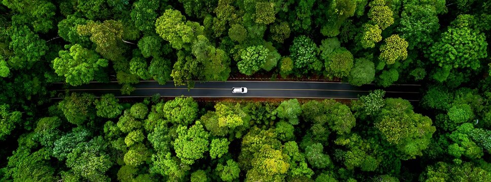 Sustainable mobility concept with EV driving on scenic forest highway.