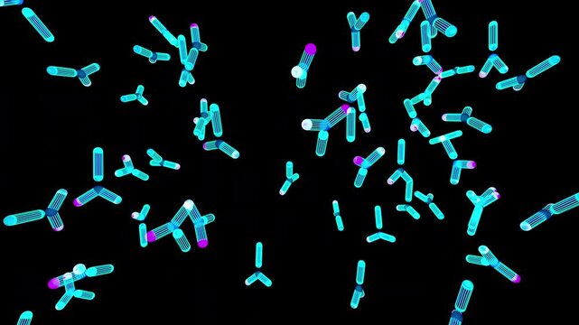 3D procedural animation of IgG antibodies with flexing arms floating in a dark void. Blue translucent molecular structures rotating in a seamless loop. Medical background for immunology and research.
