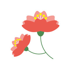 クローズアップされた横向きの可愛い桜の花のイラスト