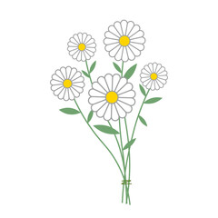 シンプルな線画の白い花のカットイラスト