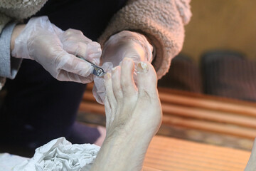 爪の手入れをする様子