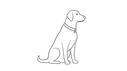 Fototapeta premium Simple black line drawing of a loyal labrador dog sitting patiently and looking forward on a plain white background.