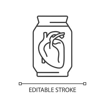 Human heart exhibit at museum linear icon. Human organ preserved in formalin. Educational artifact. Thin line illustration. Contour symbol. Vector outline drawing. Editable stroke. Arial font used