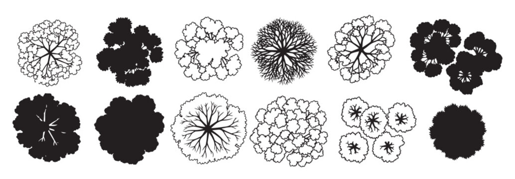  overhead tree icons circular top view trees for cad garden