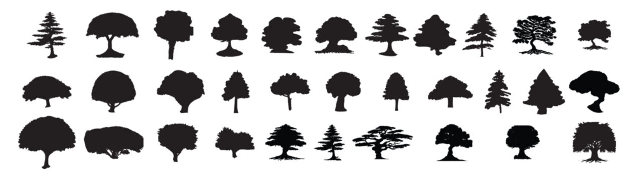 tree silhouettes vector