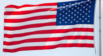 Fototapeta premium The flag of the united states of america