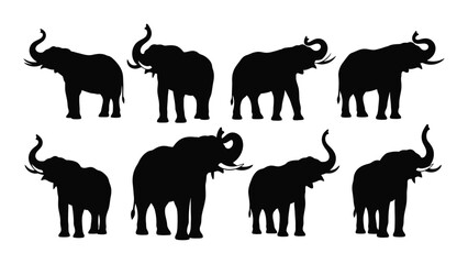 A group of eight elephants standing in a row, facing different directions, depicted in black silhouette. isolated on white background, Vector © SILHUETTECHEMBER