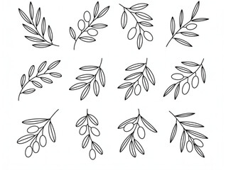 Minimalist olive branch line art set, decorative Mediterranean leaf elements for wedding and logo design © Md