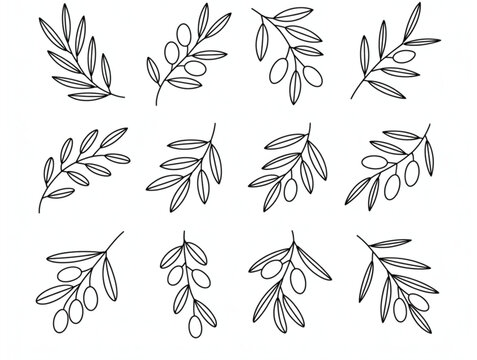 Minimalist olive branch line art set, decorative Mediterranean leaf elements for wedding and logo design
