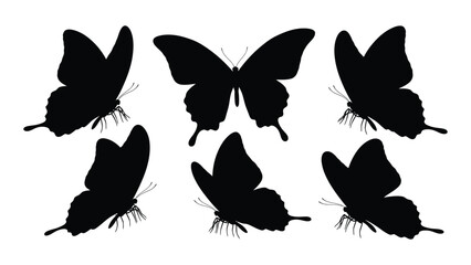 A collection of various butterfly silhouettes against a white background isolated on white background, Vector © SILHUETTECHEMBER