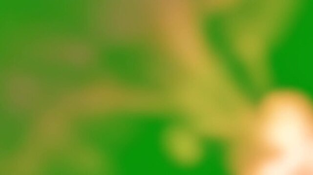 Blurry Yellow Shapes on Green Background.
