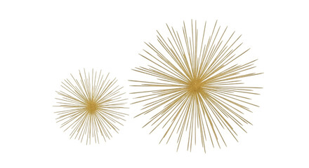 Obraz premium Golden Fireworks Bursts Two Radiating Starbursts.
