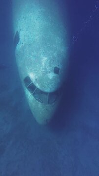The wreck of an airplane on the bottom of the Red Sea near Jordan is an excellent diving attraction.