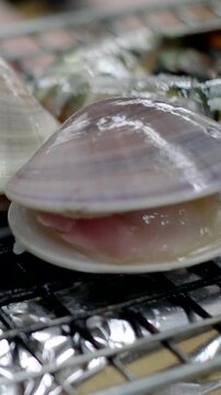 Grilling Clams Opening on Wire Net, Japanese Isobayaki Close-Up