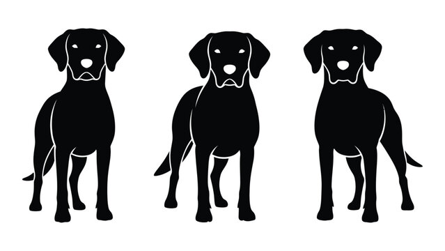 Three black dog silhouettes standing in a row on a white background. isolated on white background, Vector
