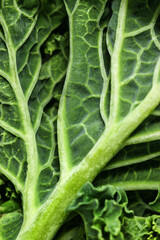 Fresh harvested kale leaves closeup texture pattern, organic farm produce concept, seasonal vegetable ingredient for salad. Minimal trend green natural background for packaging, branding, screensaver © yrabota