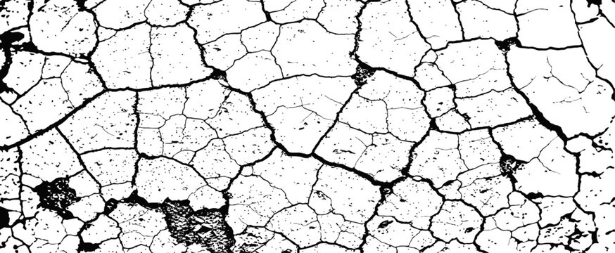 Black and white vector cracked texture grunge overlay distressed background