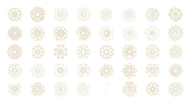 Collection of beige floral patterns and snowflakes in various vector designs isolated on transparent background