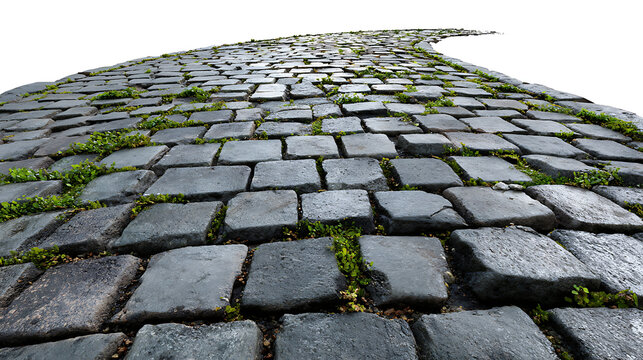 Close-up of Cobblestone Path with Greenery walkway