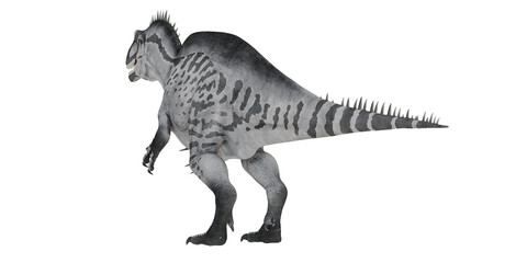 Fototapeta premium Illustrative side view of a ceratosaurus dinosaur