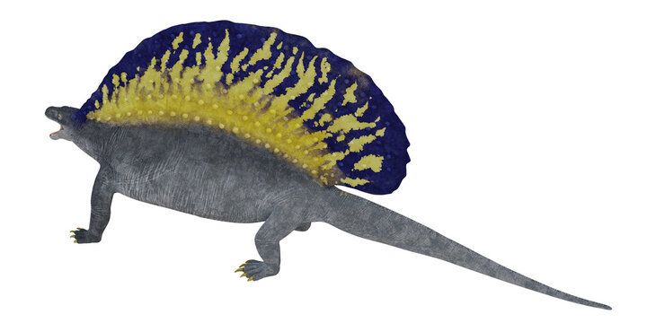 Illustration of Dimetrodon with colorful sail.