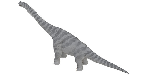 Obraz premium Realistic Apatosaurus dinosaur illustration