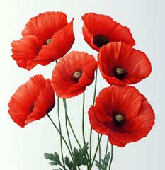 Obraz premium Six vibrant red poppy blooms with delicate ruffled petals, slender green stems and feathery leaves against a soft light background, evoking serene joyful elegance