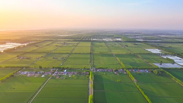 Aerial Sunrise Over Rural Farmland and Agricultural Fields