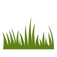 Fototapeta premium illustration green grass 