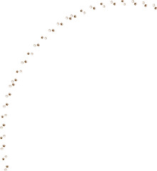 pawprint doodle line pet