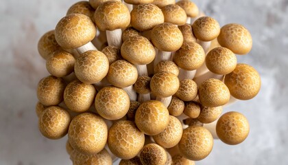 Close-up overhead view of a cluster of brown beech mushrooms