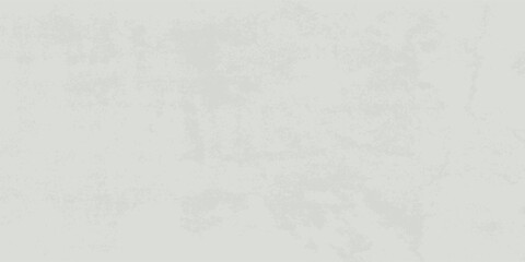 Fototapeta premium Grey white polish mortar texture,Cement wall background