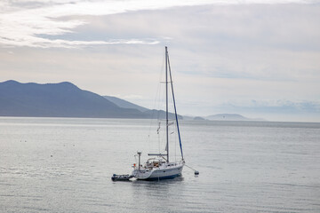 Fototapeta premium A sailboat is floating in the ocean with a blue and white sail. The sky is cloudy and the ocean water is calm.