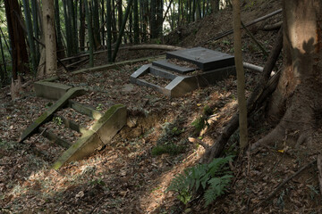 山の中、墓じまいされた墓所