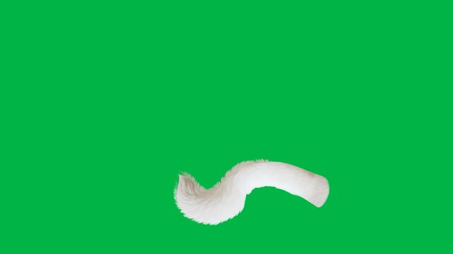 A simple white bicycle silhouette facing right in 2d animated cartoon animation on green screen chromakey background, great for transportation, sport, or minimal cycling icons.