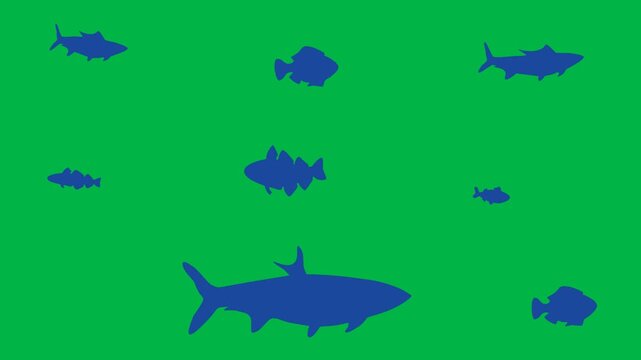 Underwater scene with fish and shark swimming in 2d animated cartoon animation on green screen chromakey background, ideal for ocean life or marine adventure visuals.