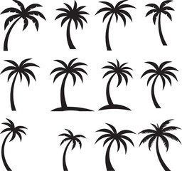 Fototapeta premium set of palm trees ,set of palms.palm, tree