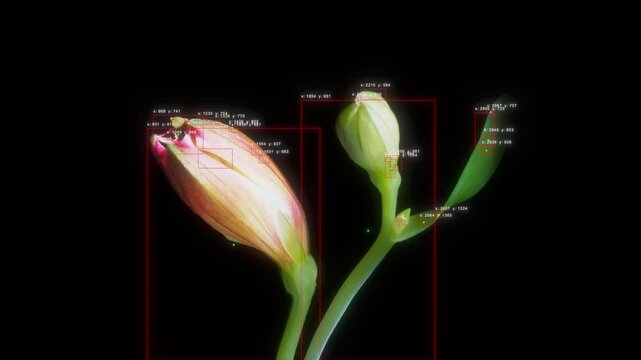 AI flower growth tracking object detection computer vision