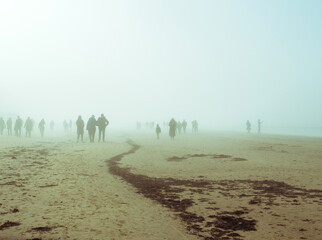 People walking in thick fog along a sandy seashore