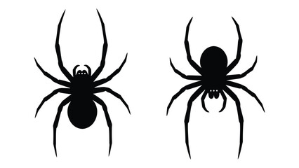 Two black spiders with distinct body shapes and leg arrangements on a white background isolated on white background, Vector