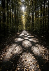 Obraz premium Cinematic autumn forest path at dusk, blue hour mystery.