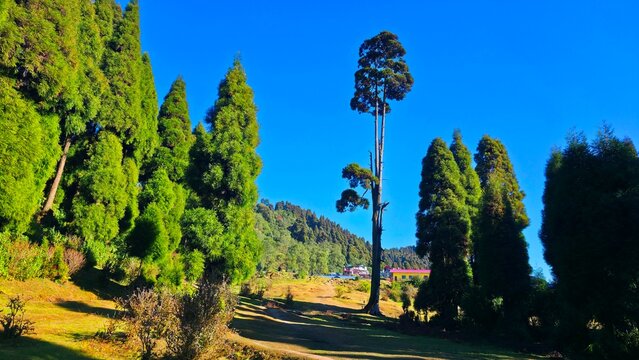 beautiful nature landscape of Darjeeling Mahidhura (Mini Pahalgam)