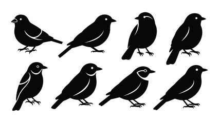 Obraz premium A collection of nine black silhouettes of birds in various poses and orientations isolated on white background, Vector
