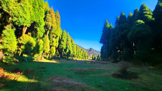 Majhidhura Darjeeling district (Mini Pahalgam), West bengal of India, tourist spot of Darjeeling near Sukia Pokhari bazar.