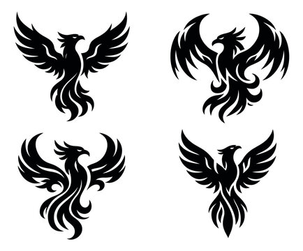 Stylized phoenix bird set featuring four different mythical creature designs for branding and tattoo concepts