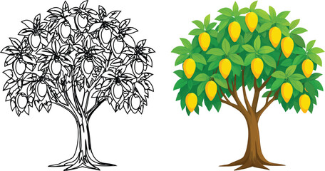Mango tree with ripe yellow fruits vector illustration on white background, mango fruit tree line art and colorful flat design icon.