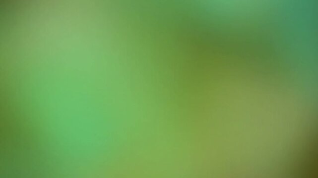 Electricity Flashing Across Green Background