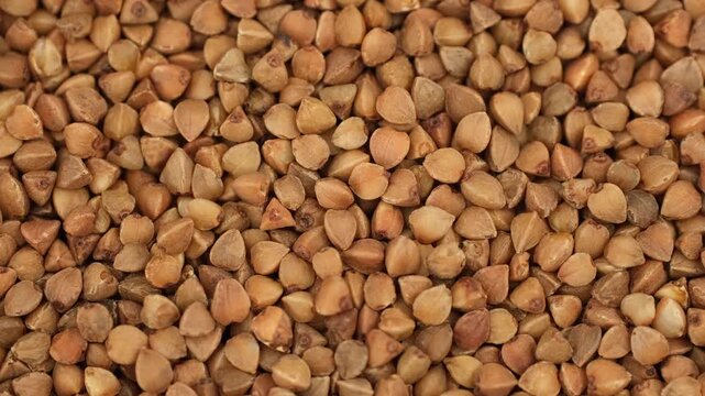 Heap of raw buckwheat ready for cooking, rotation. Healthy vegan food concept